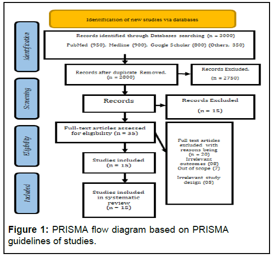 IPJHME-flow