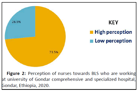 IPJNHS-nurses