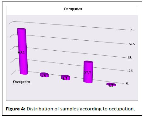 IPJPM-Dist