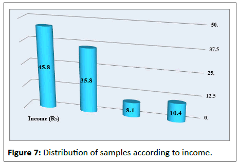 IPJPM-income