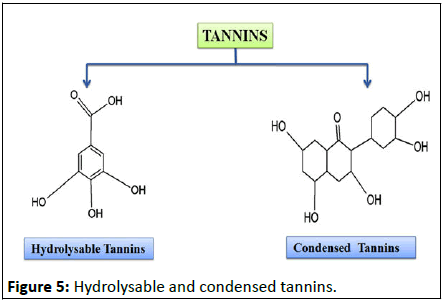 Nutraceuticals-Science-Hydrolysable