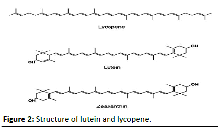 Nutraceuticals-Science-lutein