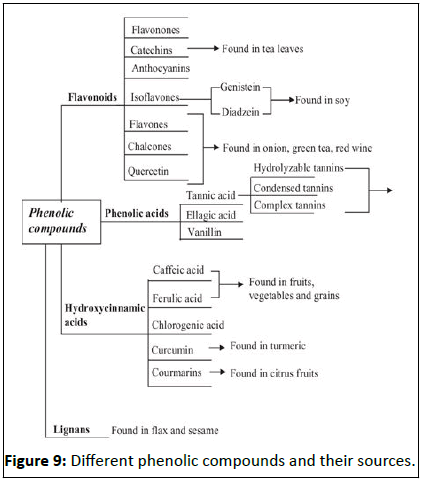 Nutraceuticals-Science-phenolic