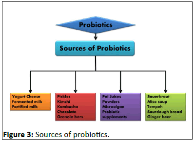 Nutraceuticals-Science-probiotics