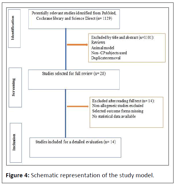 childhood-developmental-schematic