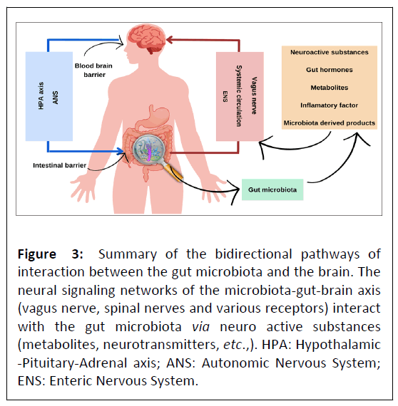 clinical-nutrition-bidirectional