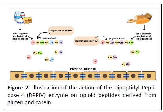 clinical-nutrition-dipeptidyl