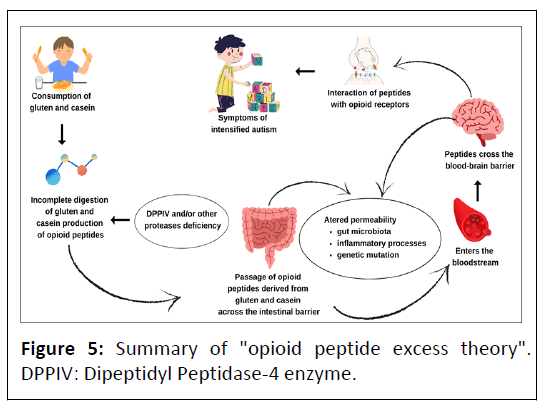 clinical-nutrition-opioid-peptide