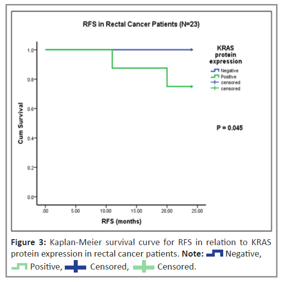 colorectal-cancer-kaplan-meier