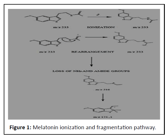 ipjmbb-Melatonin