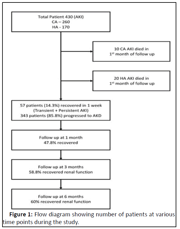 ipjnu-Flow