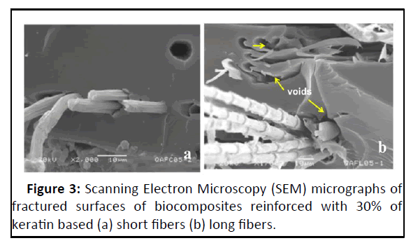 iprrwm-Scan