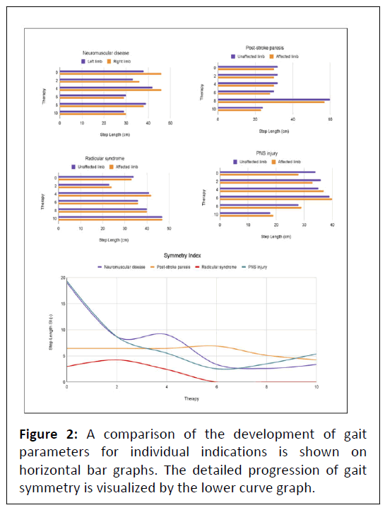 Gait Symmetry Restoration in Patients with Common Neurological Diseases  During a Body-Weight Supported Treadmill Therapy Program-A Case Series  Study