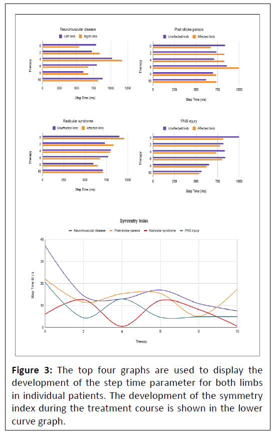 medical-case-symmetry-index