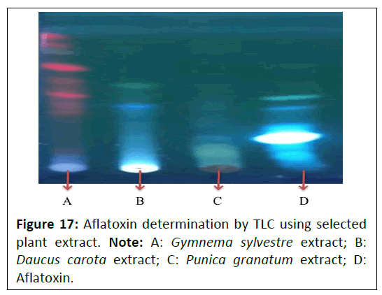 phytomedicine-aflatoxin