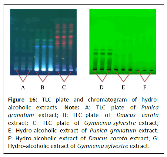 phytomedicine-chromatogram