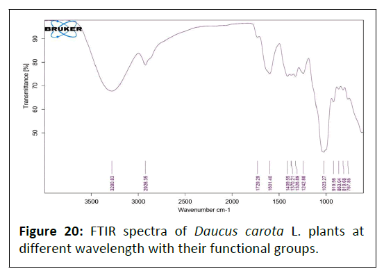 phytomedicine-functional-groups