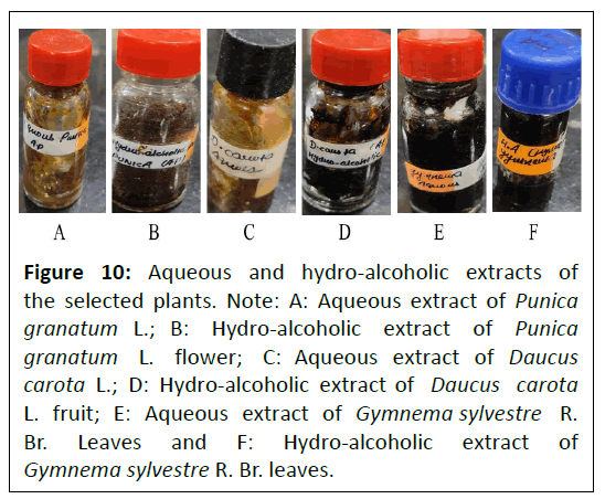 phytomedicine-hydro-alcoholic