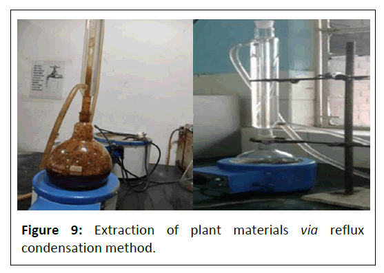 phytomedicine-plant-materials