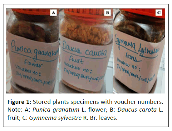 phytomedicine-specimens