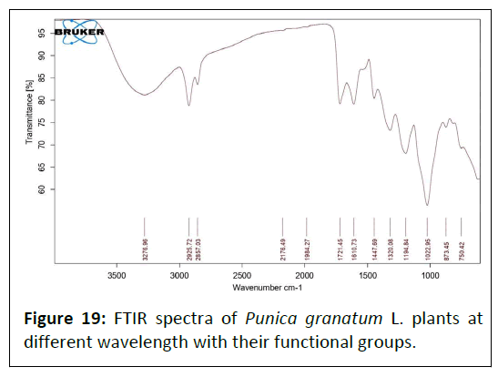 phytomedicine-wavelength