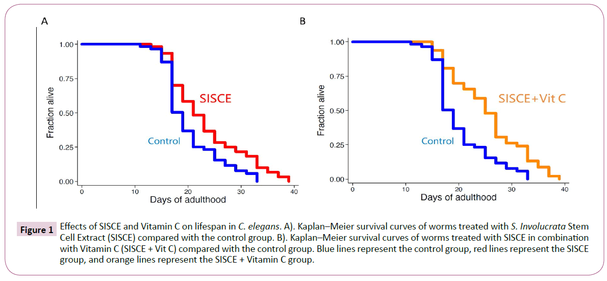 phytomedicine-clinical-therapeutics-survival-curves