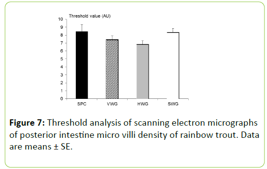 Animal-Research-Nutrition-electron-micrographs