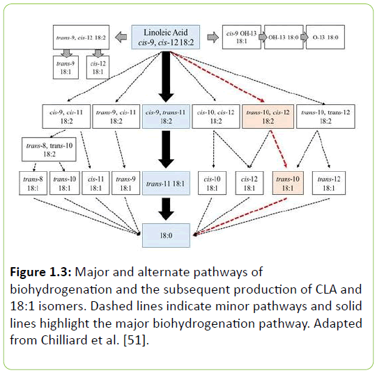 Animal-Research-biohydrogenation