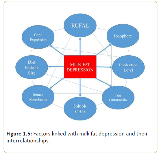 Animal-Research-interrelationships