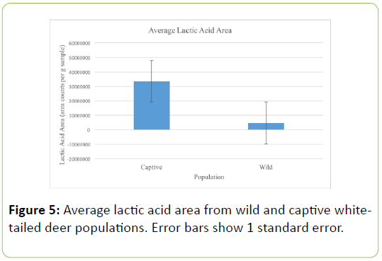 Animal-Research-lactic-acid