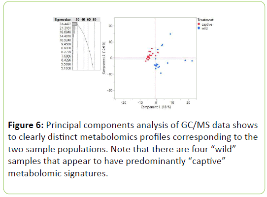 Animal-Research-metabolomics