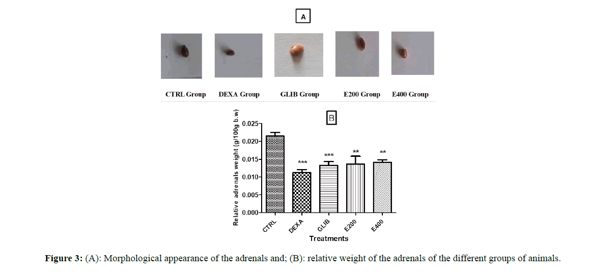 Annals-of-Biological-adernals