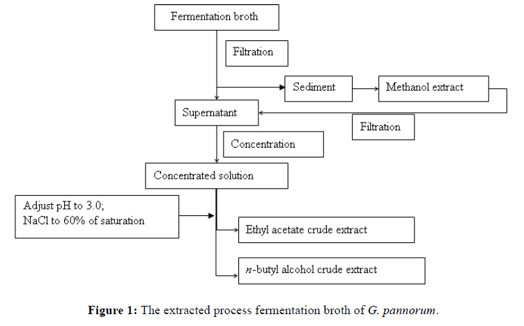 Der-Chemica-Sinica-fermentation