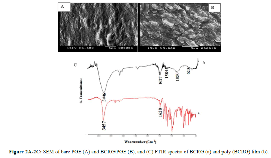 Der-Chemica-Sinica-spectra-BCRG