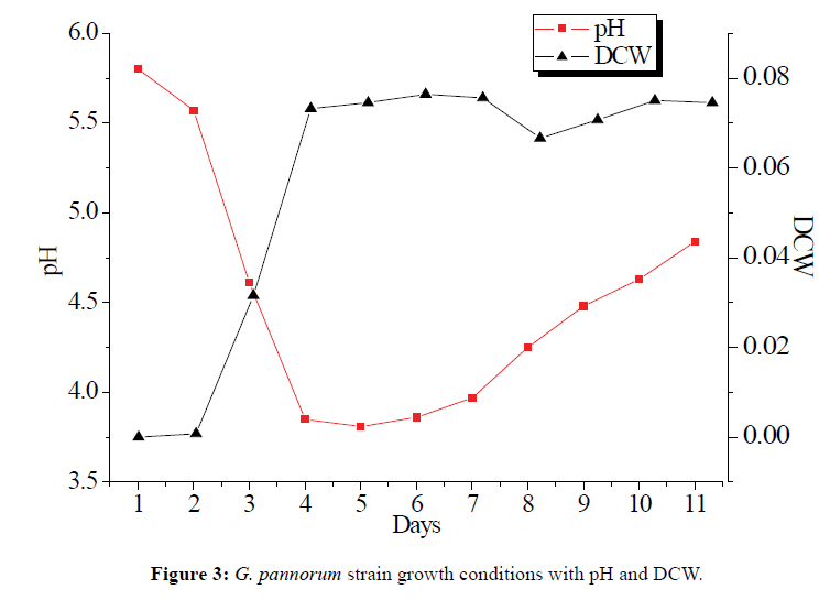 Der-Chemica-Sinica-strain-growth