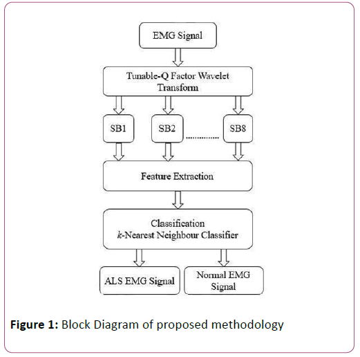 Information-Technology-proposed-methodology 