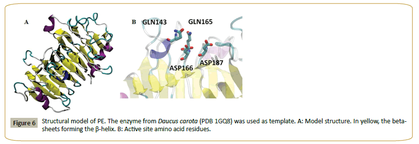 Insights-Enzyme-Research-Active-site-amino-acid-residues