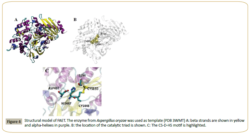 Insights-Enzyme-Research-alpha-helixes-purple