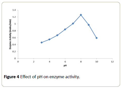 Insights-Enzyme-Research-enzyme