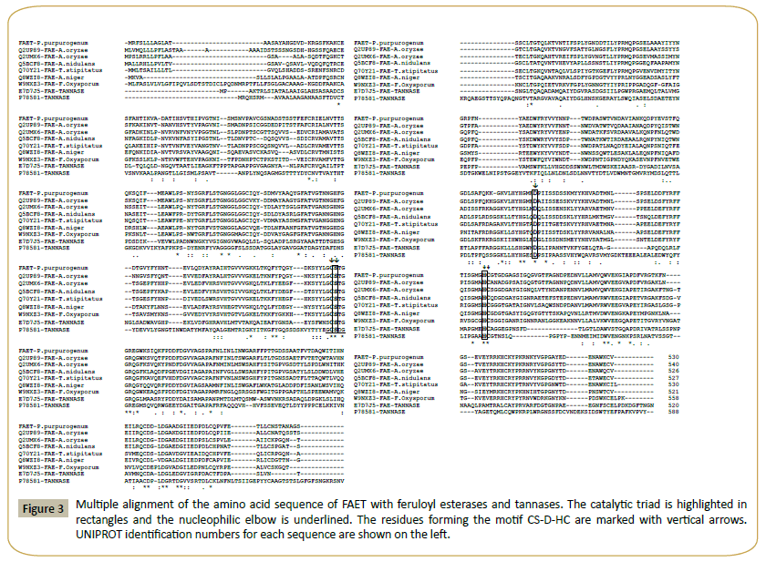 Insights-Enzyme-Research-feruloyl-esterases-tannases