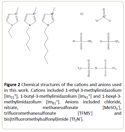 Insights-Enzyme-Research-methylimidazolium