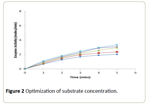 Insights-Enzyme-Research-optimization