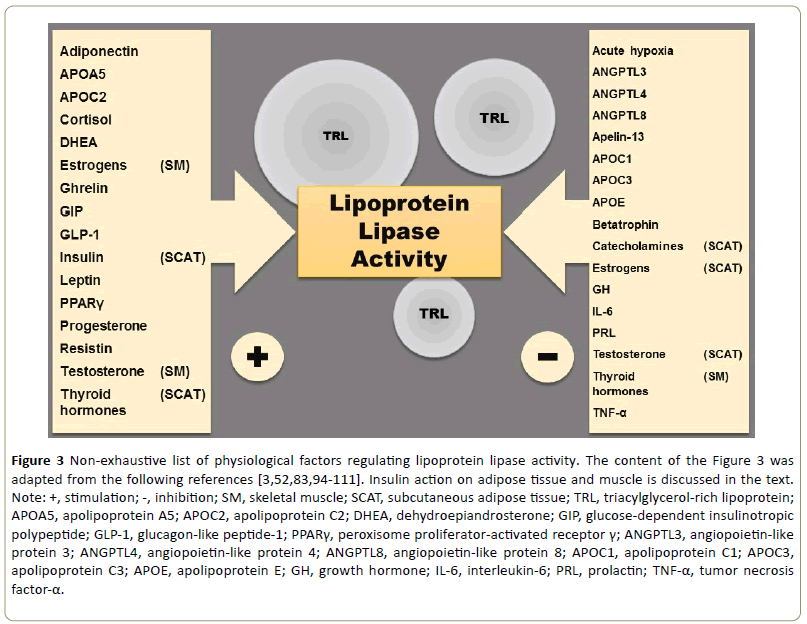 Insights-Enzyme-Research-physiological