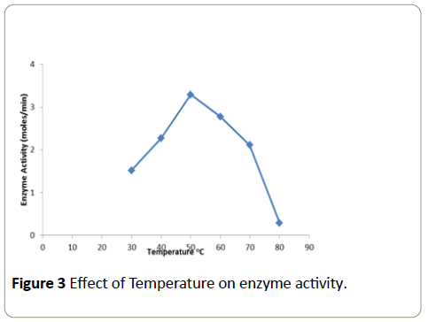 Insights-Enzyme-Research-temperature