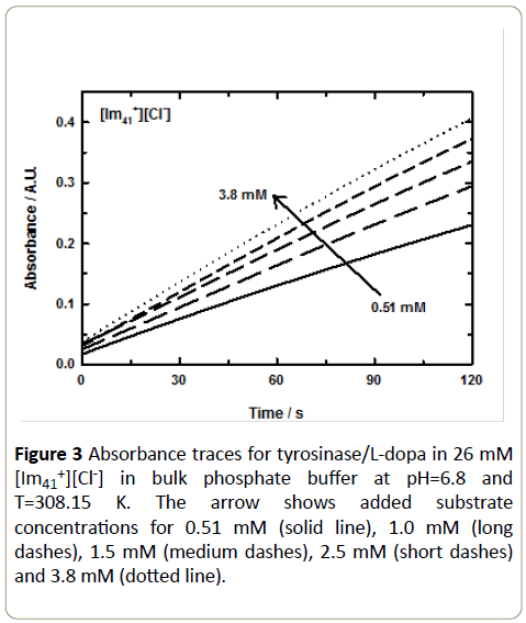 Insights-Enzyme-Research-tyrosinase