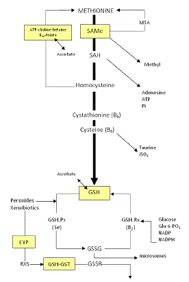 Abbreviations