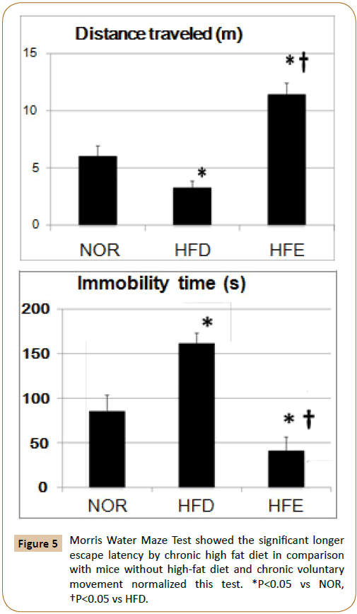 Physiotherapy-latency