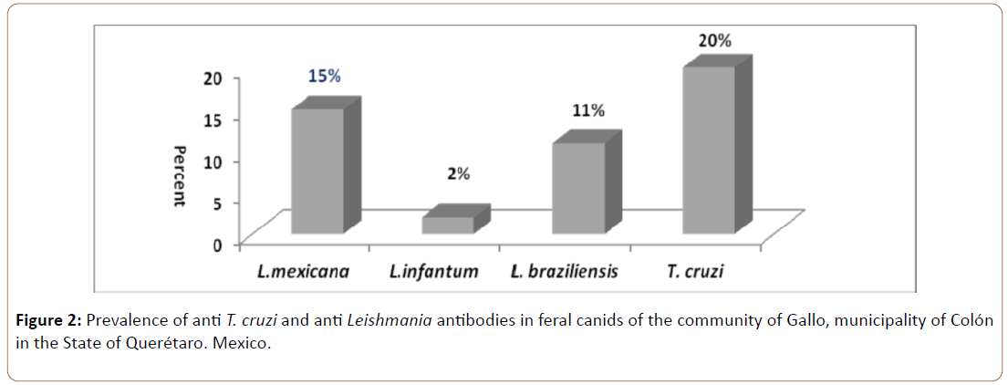 Preventive-Medicine-Gallo