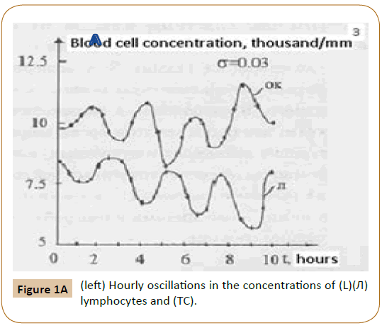 Preventive-Medicine-Hourly-oscillations