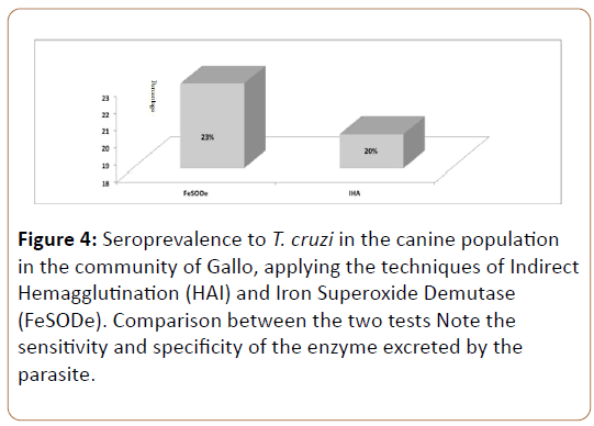 Preventive-Medicine-canine-population